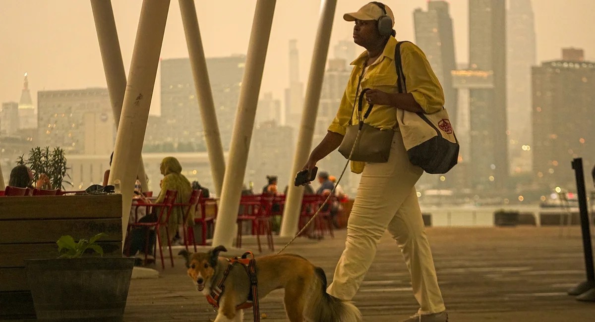 Why NYC Summers are Smoke-Filled and How to Stay Safe (2026)